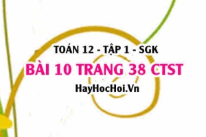 Bài 10 trang 38 Toán 12 tập 1 Chân trời sáng tạo